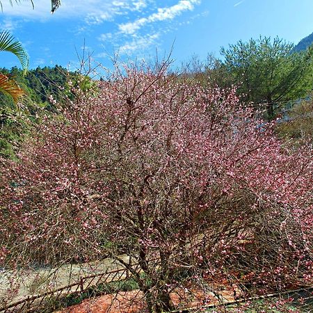Li Jin Kuan Homestay Нанджуан Екстериор снимка