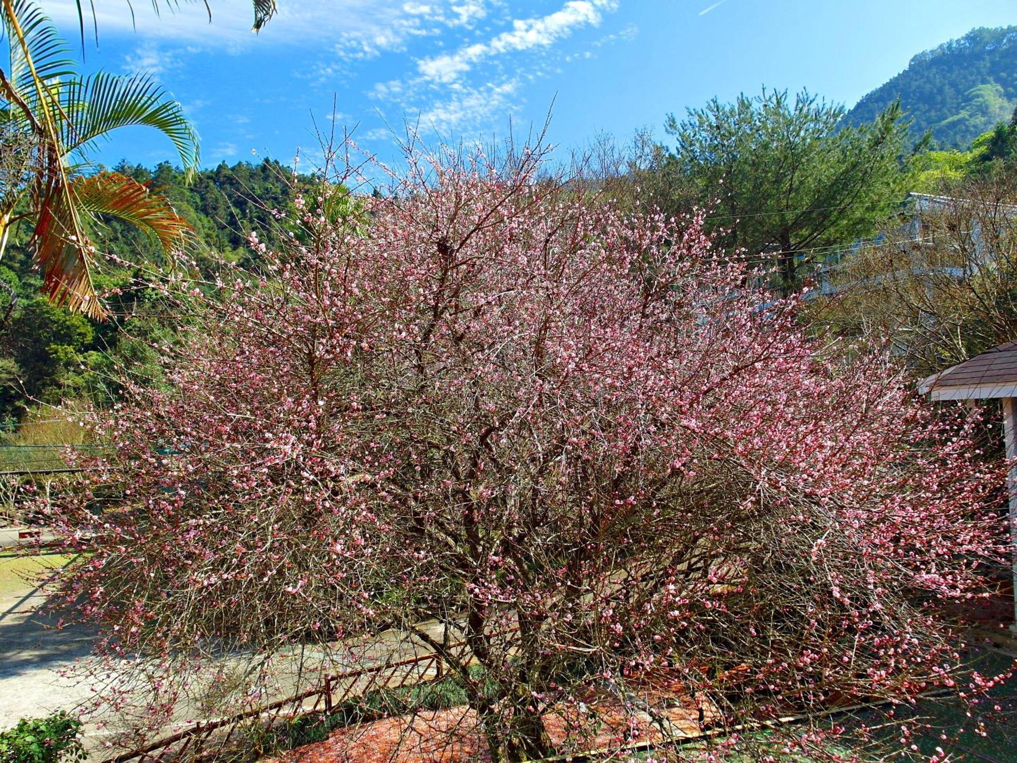 Li Jin Kuan Homestay Нанджуан Екстериор снимка