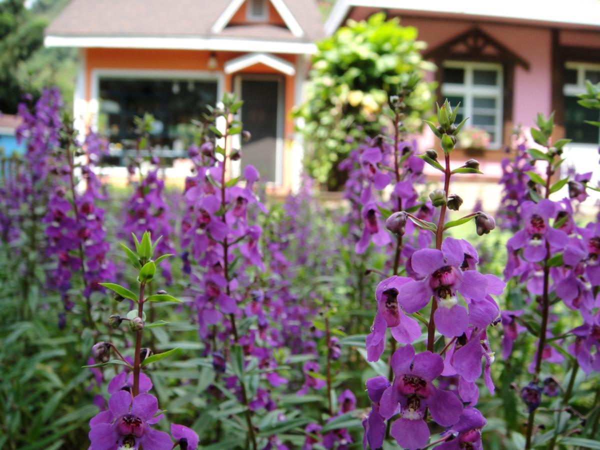 Li Jin Kuan Homestay Нанджуан Екстериор снимка